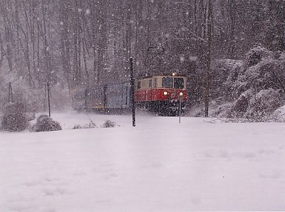 Tohuwabunti im Schneegest�ber bei Rabenstein
