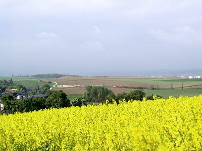 1099 002 und 016 bei Matzersdorf